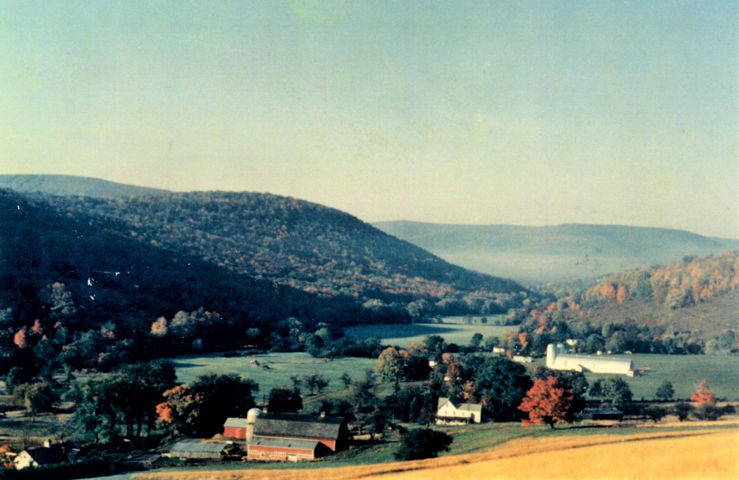 Halcott aerial, 1966, Michael Morse farm, now C DiBenedetto, P Kelly